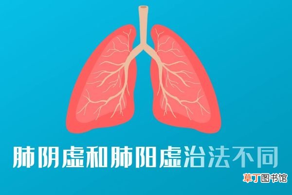 肺阴虚和肺阳虚的区别有哪些？两者的不同之处有这几个