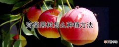 【海棠果】海棠果树种植方法