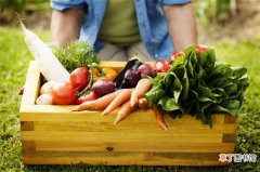 适宜生吃的蔬菜，什么蔬菜绝对不能生吃？