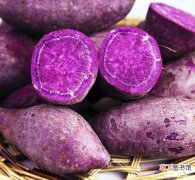 【食用】紫薯的做法 食用价值