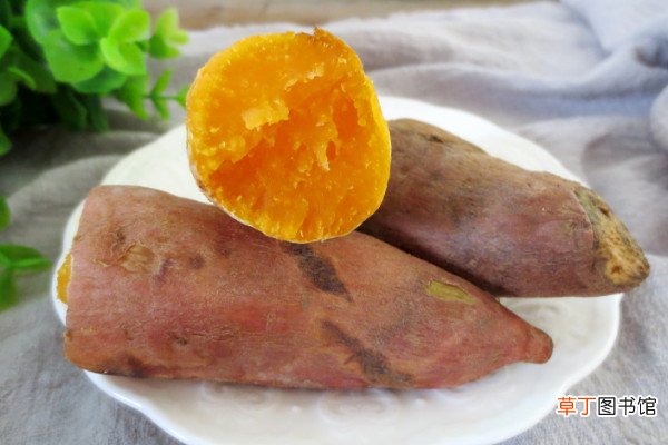【成熟】红薯成熟的季节，它的营养价值有哪些？