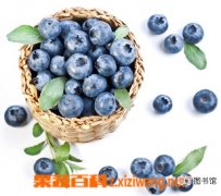 【种植】蓝莓品牌有哪些？蓝莓怎么种植