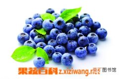 【营养】蓝莓的营养价值与作用