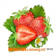 【营养】草莓的营养价值与食疗功效