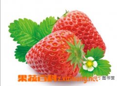 【美容】草莓的美容功效