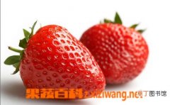 【营养】草莓的营养价值和食用功效