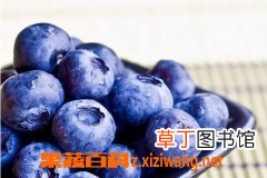【泡水】蓝莓泡水的功效与作用