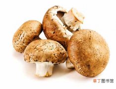 【蘑菇】怎样保鲜蘑菇有哪些方法？