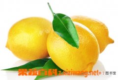 【功效】柠檬的功效和作用 柠檬的用法