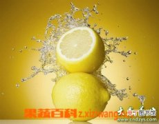 【好处】喝柠檬水有哪些好处与坏处