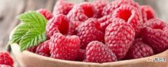 【树莓】树莓原产于美国 树莓的介绍