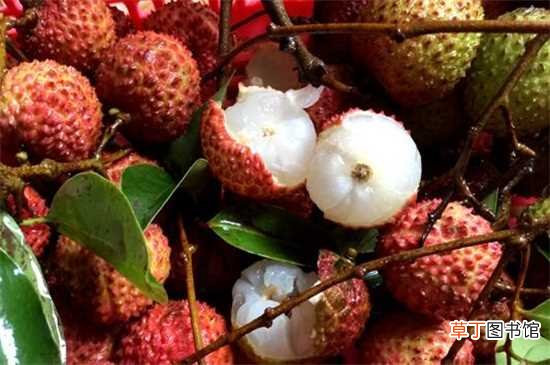 【水果】温热性水果有哪些：温热性的水果：榴莲 樱桃