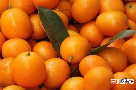 【水果】柑橘类水果有哪些：柑橘类水果有四类 柑橘类水果四类介绍