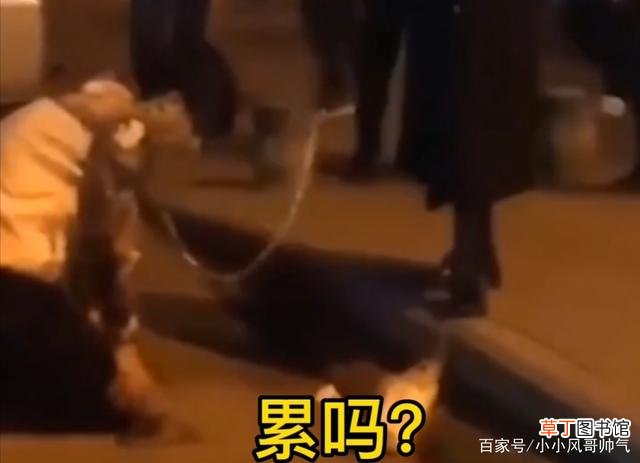 安徽合肥一男子头套绳索跪在地上，当街来了这个“心玩意”