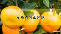 【施肥】柑橘树怎么施肥