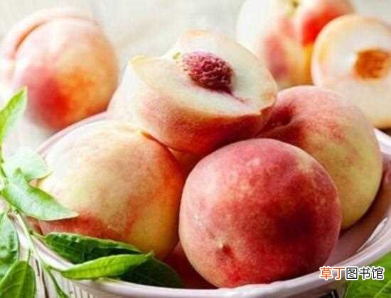 【水果】吃什么水果最解渴，盘点夏日解渴的十种水果：最解渴的十种水果