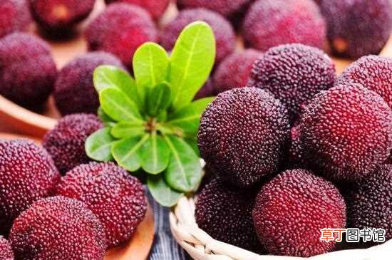 【吃】夏季吃什么水果解渴，盘点十种夏季最解渴的水果：夏季最解渴的十种水果