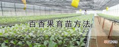【香】百香果育苗方法