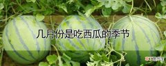 【吃】几月份是吃西瓜的季节
