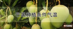 【种植】芒果种植条件气温