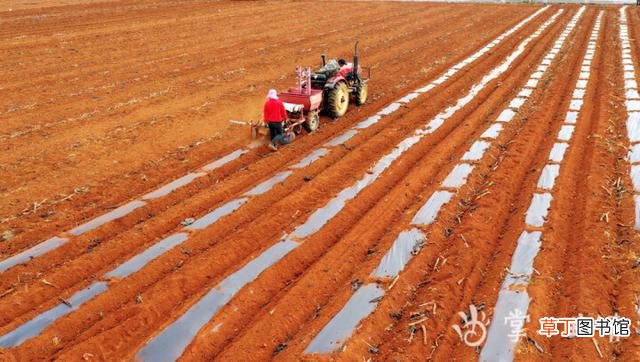 曲靖市抓好“三夏”农业生产 已收获夏粮200万亩 播种秋粮652万亩