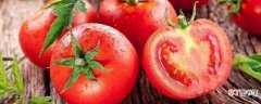 【蔬菜】红色的蔬菜有哪些：西红柿 胡萝卜