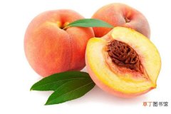 【桃子】桃子不能和什么一起吃 有什么功效与作用