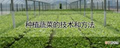 【蔬菜】种植蔬菜的技术和方法