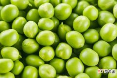 【功效】豌豆的功效与作用 有什么吃法