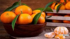【成熟】桔子什么时候成熟：橘子在冬季的10～12月份成熟 促使橘子成熟快的技