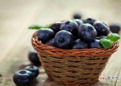 【结果】蓝莓几年结果 蓝莓营养价值
