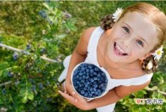 【功效】蓝莓干的功效与作用，美容养颜提高免疫还能减缓衰老：蓝莓干的功效