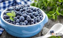 【吃】蓝莓不能和什么一起吃，吃蓝莓不宜吃海鲜/会过敏：蓝莓不能和乳制品
