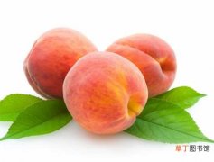 【成熟】桃子什么时候成熟 桃子的营养价值