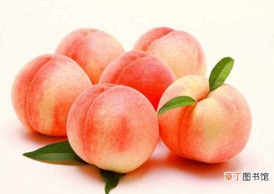 【桃子】喝了酸奶能吃桃子吗，桃子和酸奶能一起吃吗：喝了酸奶能吃桃子 桃子和酸奶能一起吃