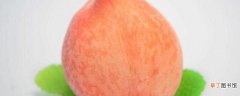 【成熟】桃子成熟的季节：桃子是在夏季成熟 油桃品种