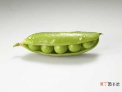 【吃】豌豆怎么吃，豌豆的吃法 豌豆营养价值