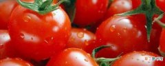 【季节】西红柿什么季节成熟