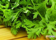 【叶子】水芹菜叶子能吃吗 水芹菜叶的食疗作用