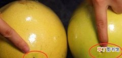 柚子也有公母之分，四个小技巧，教你挑选好吃又健康的柚子