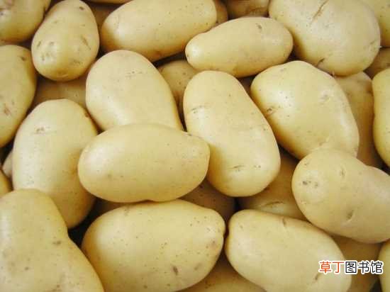基本知识 【养殖方法】马铃薯的养殖方法 养殖马铃薯的注意事项