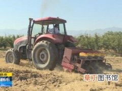 《直通县市》夏种好时节 农技服务助粮食增产