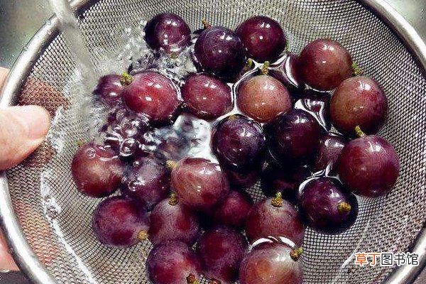 【葡萄】葡萄怎么洗
