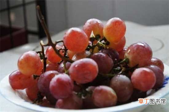 【颜色】葡萄有几种颜色：红葡萄 紫葡萄