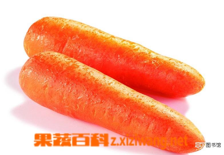 【胡萝卜】常吃胡萝卜有哪些功效与作用