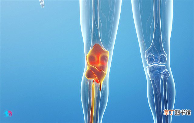老年人的膝盖很脆弱，老年人怎么保养膝盖？