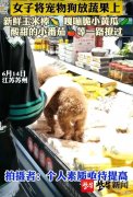 苏州一女子逛超市让狗踩在果蔬上，超市：发现后已进行消毒