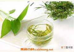 【茶】淡竹叶茶的功效与作用 淡竹叶茶的禁忌
