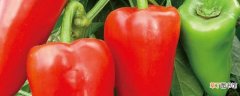 【种植】盆栽甜椒的种植方法