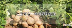 【种植】土豆可不可以一年四季种植